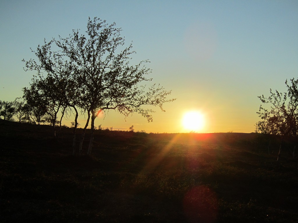 kesä 2011 393.jpg